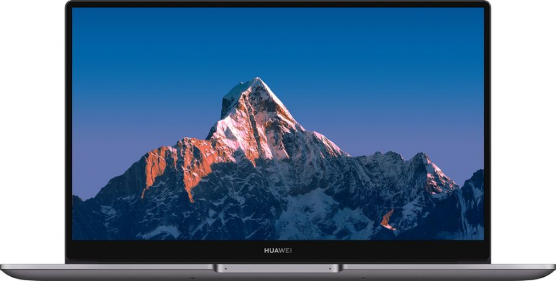 Ноутбук Huawei MateBook B3-520 Gray (53012YDQ)