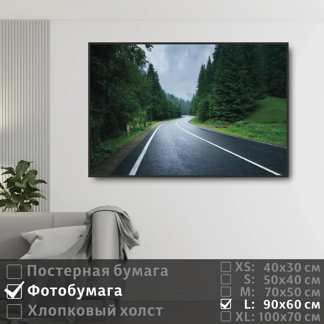 

Постер на фотобумаге ПолиЦентр Дорога лес в тумане 90х60 см, ДорогаЛесВТумане