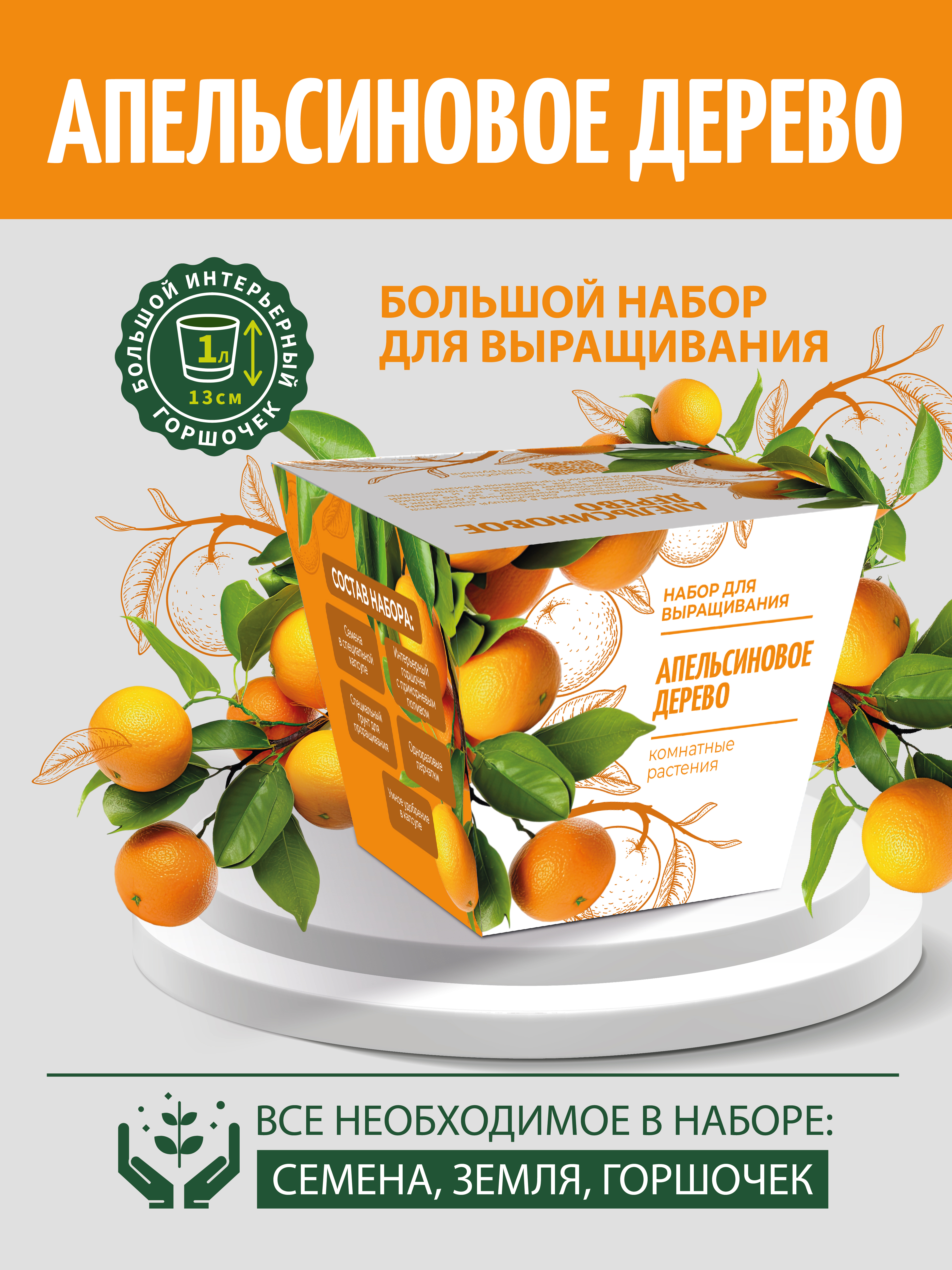 Набор для выращивания комнатных растений ЭкоКлуб Апельсин