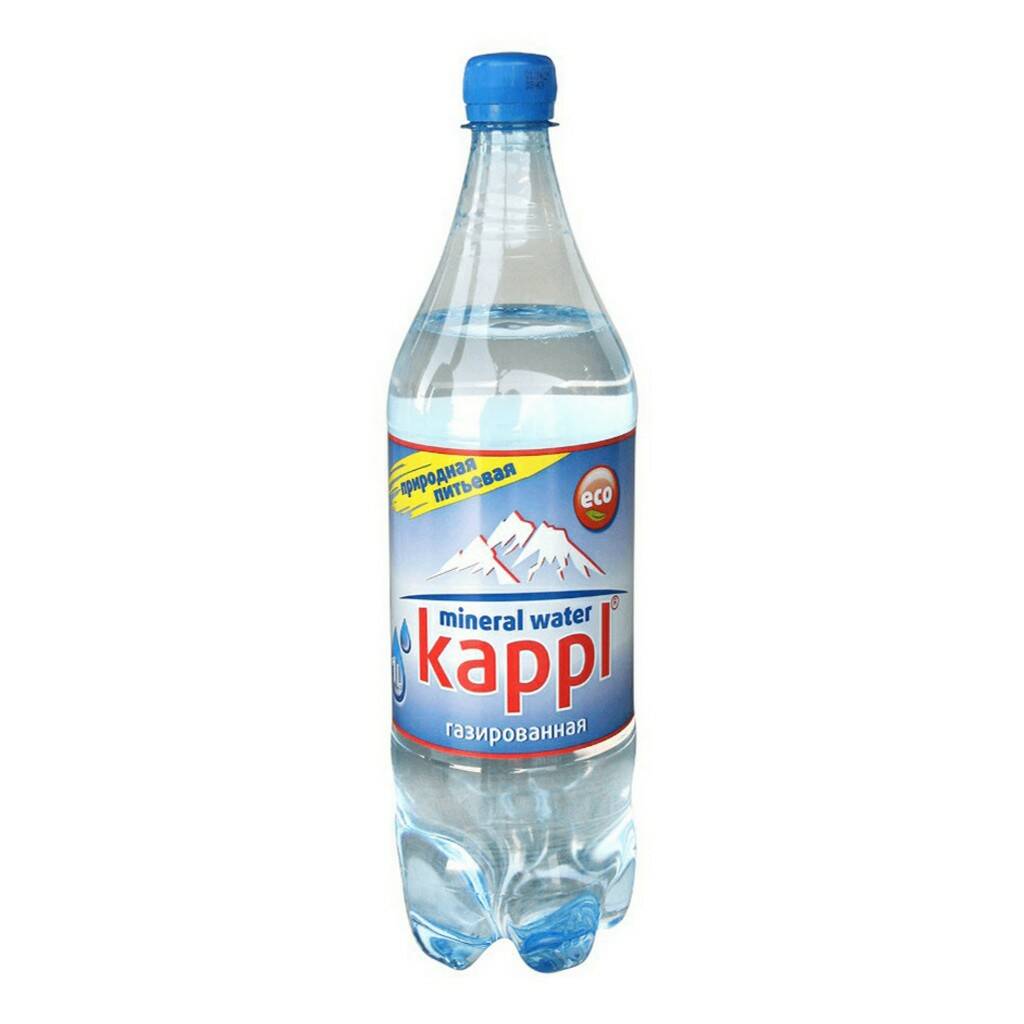 

Вода минеральная Kappl газированная 1 л