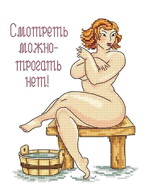 

Набор для вышивания «Пышка»