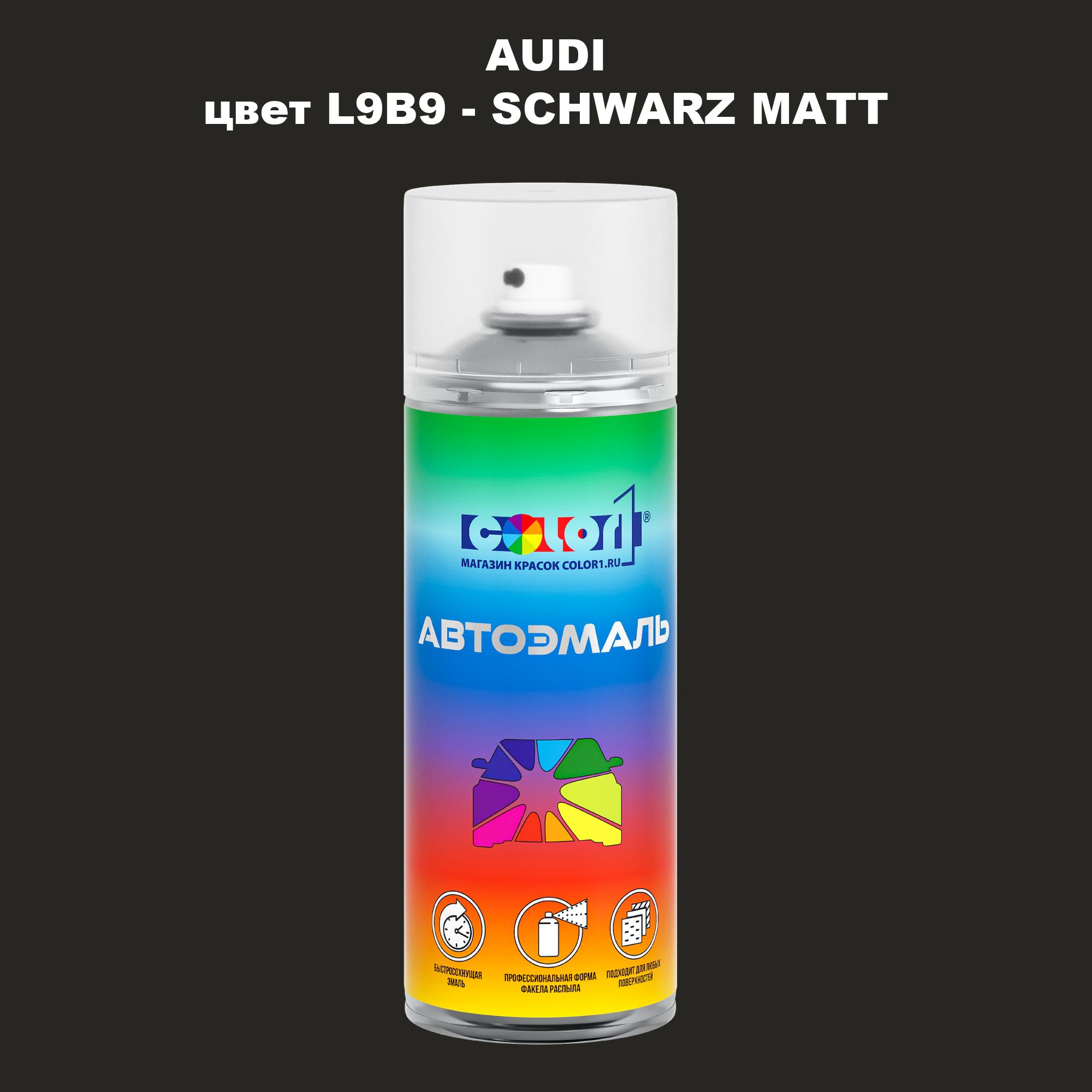

Аэрозольная краска AUDI, цвет L9B9 - SCHWARZ MATT, Прозрачный