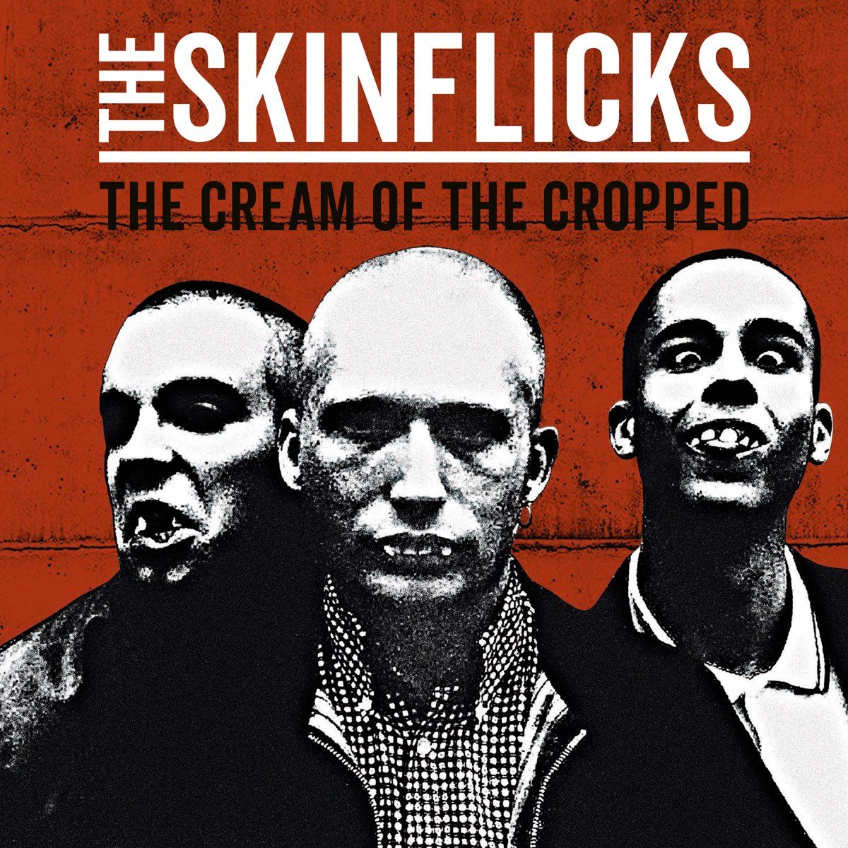 Виниловая пластинка Skinflicks Cream of the Cropped