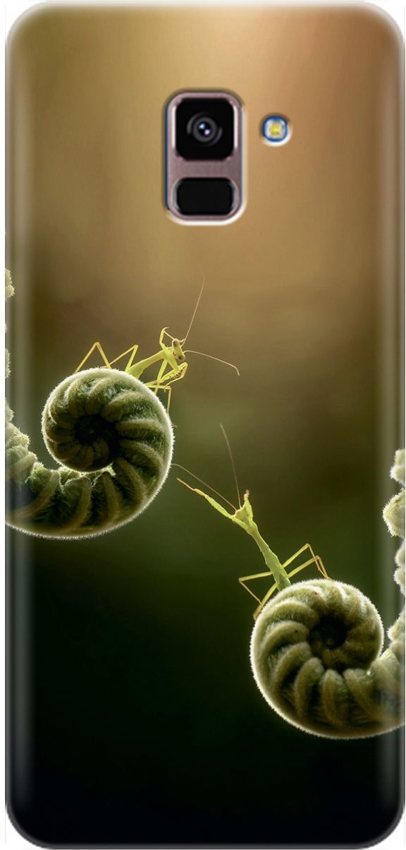 

Чехол на Samsung Galaxy A8+ (2018) с принтом "Пара богомолов", Бежевый;зеленый, 1548