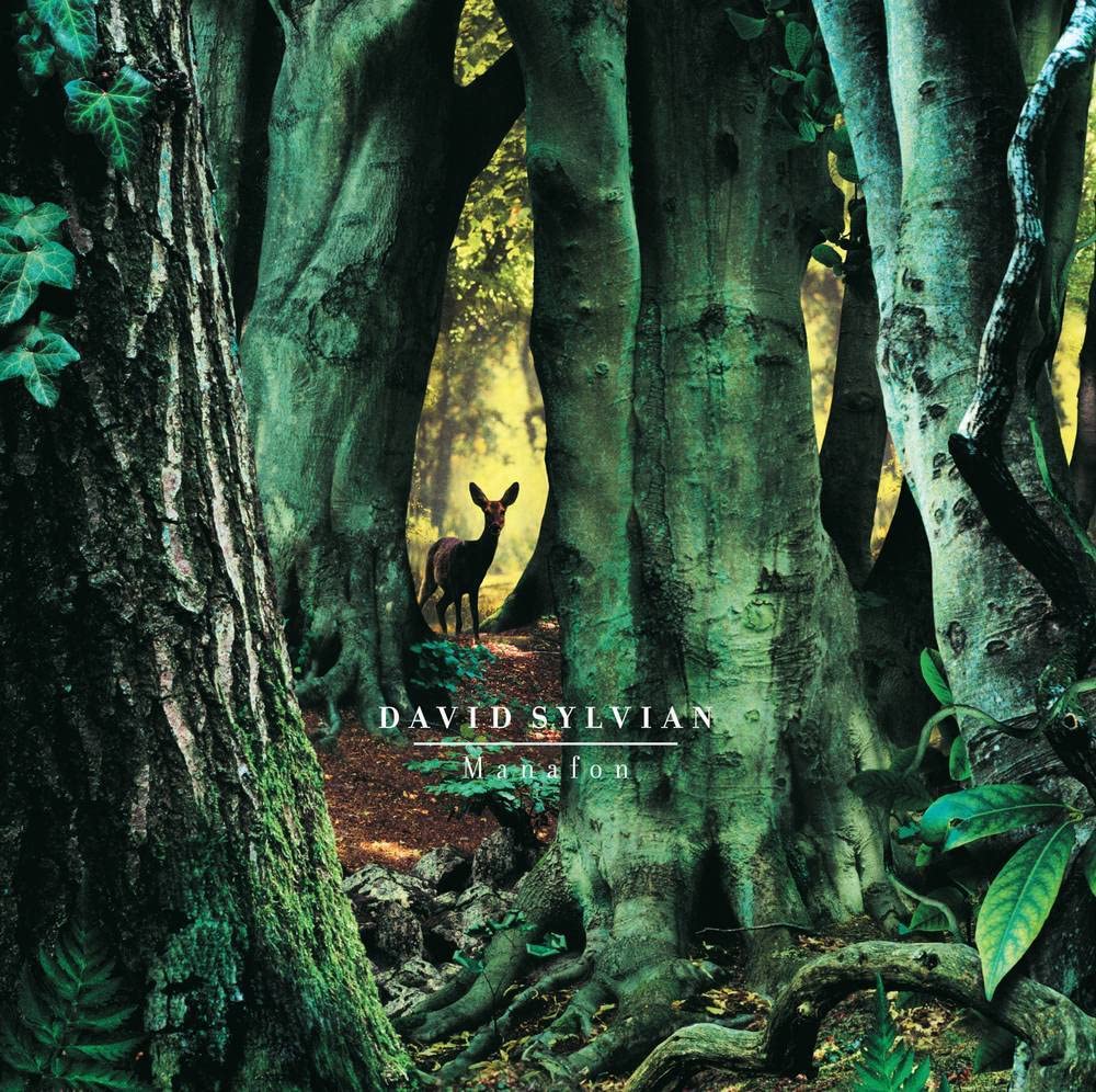 фото Виниловая пластинка david sylvian manafon (2lp) мистерия звука