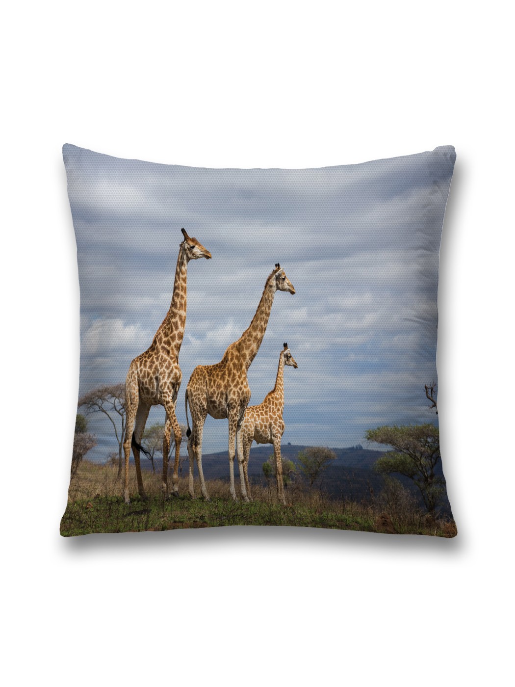 

Наволочка декоративная JoyArty "Жирафы наблюдают" на молнии, 45x45 см, Бежевый