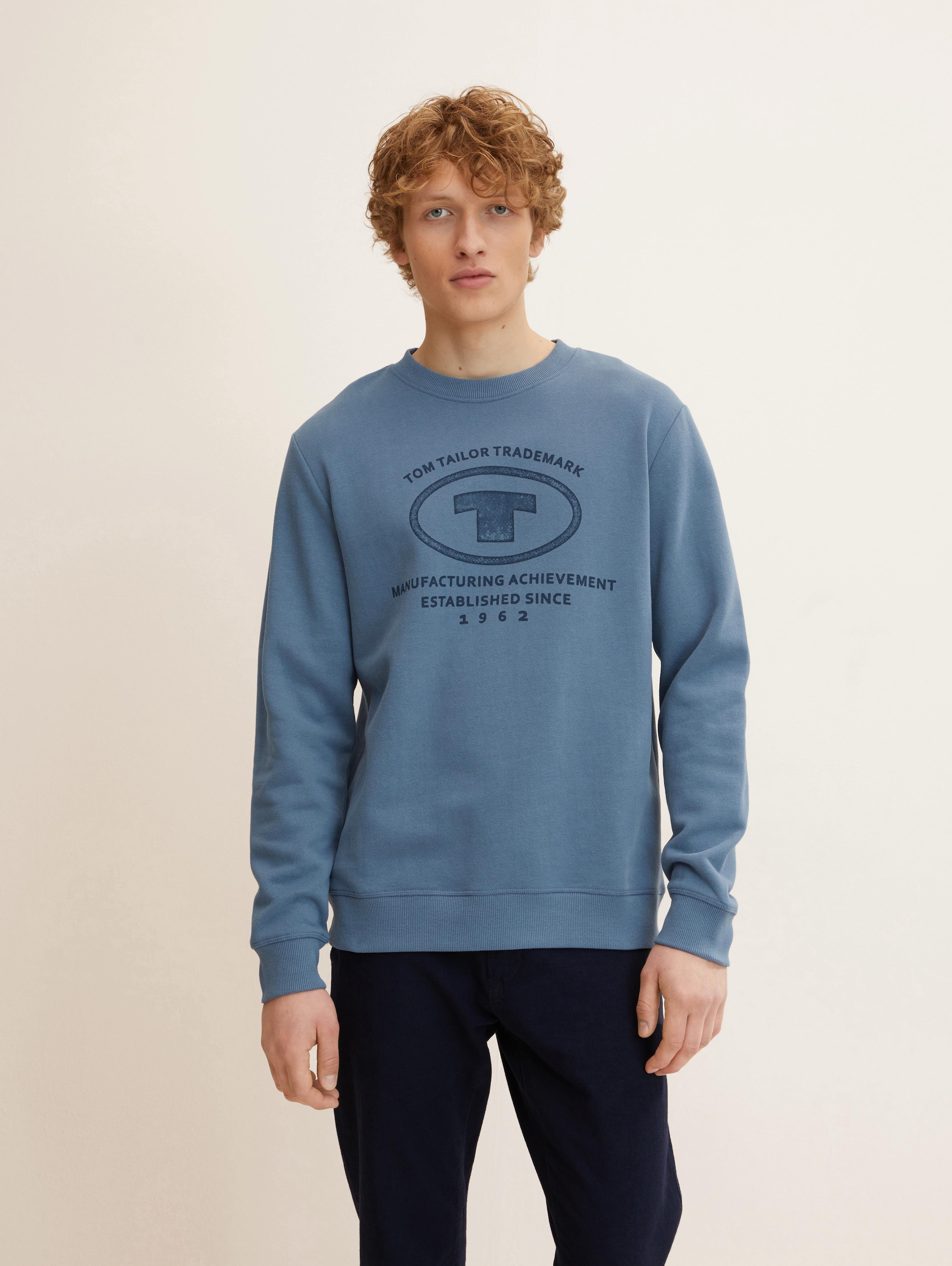 

Свитшот мужской TOM TAILOR 1032929 синий XL, 1032929