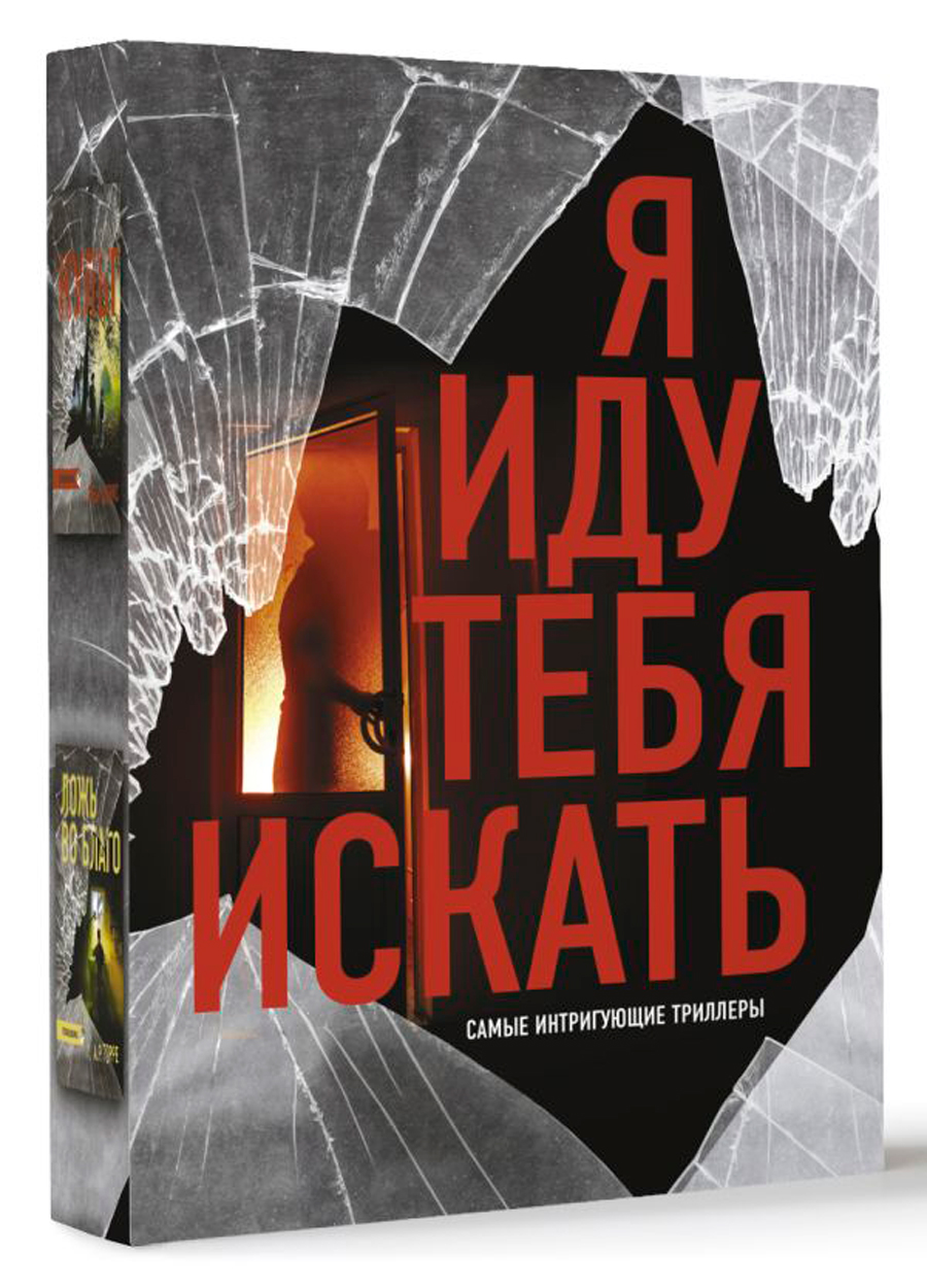 

Я иду тебя искать: Самые интригующие триллеры