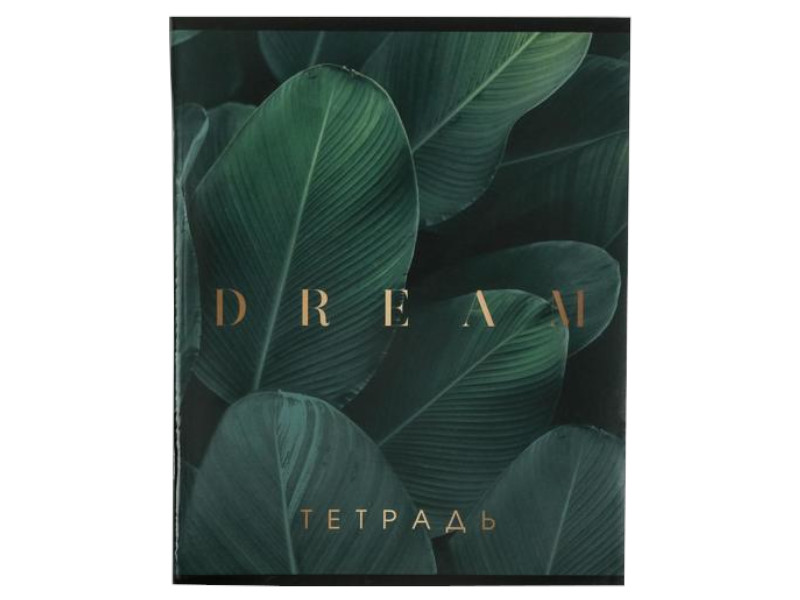 

Тетрадь общая в клетку ArtFox Dream 5515253, 96 л., 1 шт., 5515253