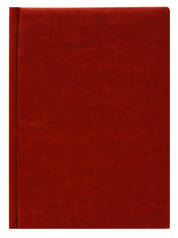 

Ежедневник Prof-Press 160-0660 А5, 160 листов недатированный кожзам, 160-0660