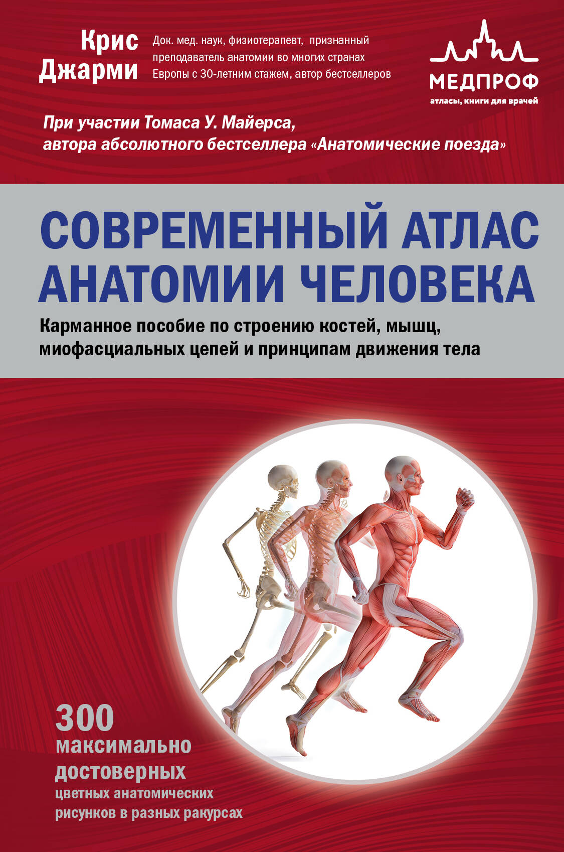 

Современный атлас анатомии человека. Карманное пособие по строению костей, мышц