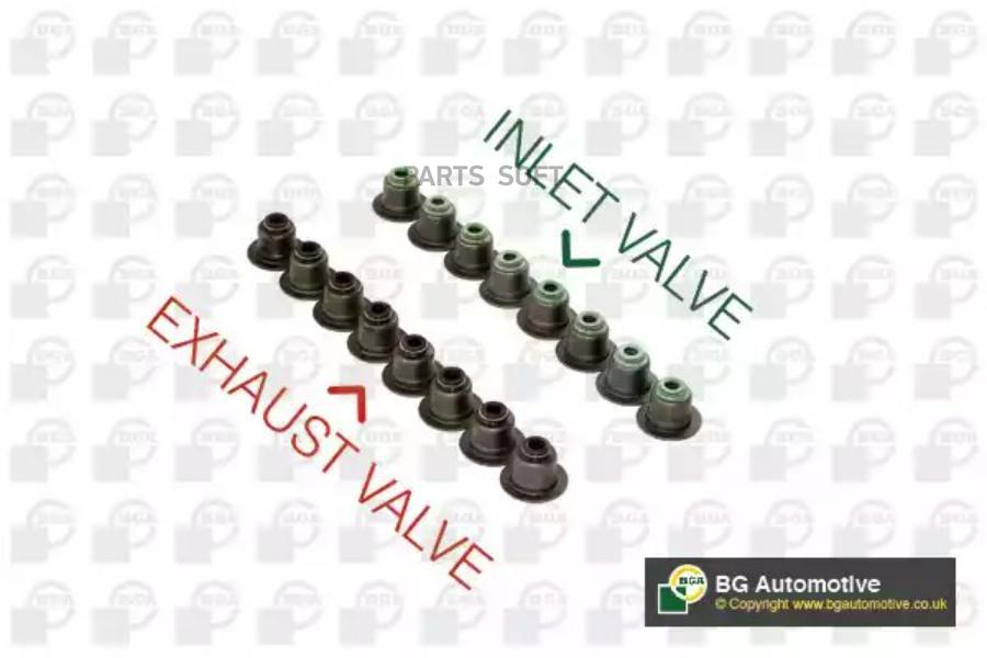 

Комплект маслосъемных колпачков HYUNDAI i10, i20, i30, ix20, TUCSON 1.2-1.6 / KIA CARENS I