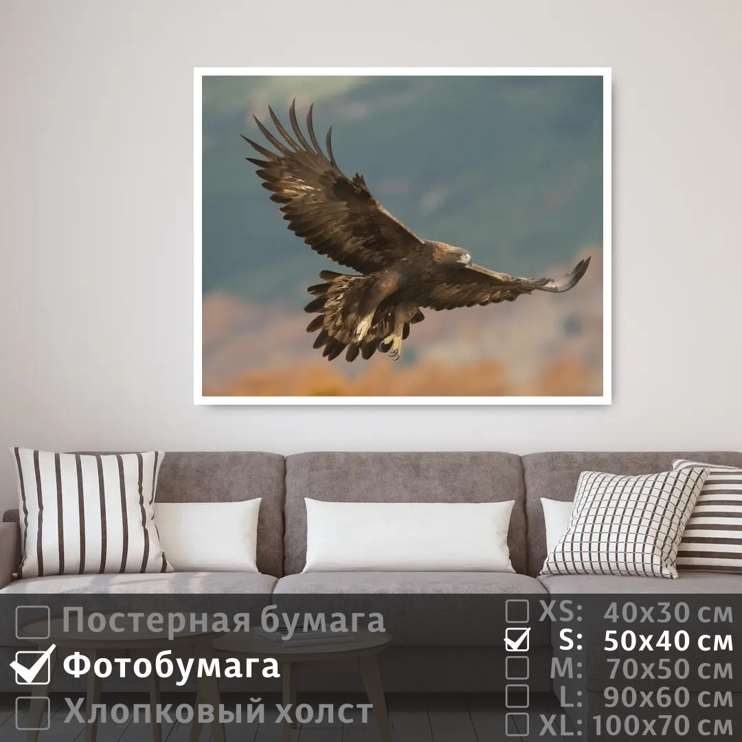 

Постер на фотобумаге ПолиЦентр Парящий орел в небе 50х40 см, ПарящийОрелВНебе