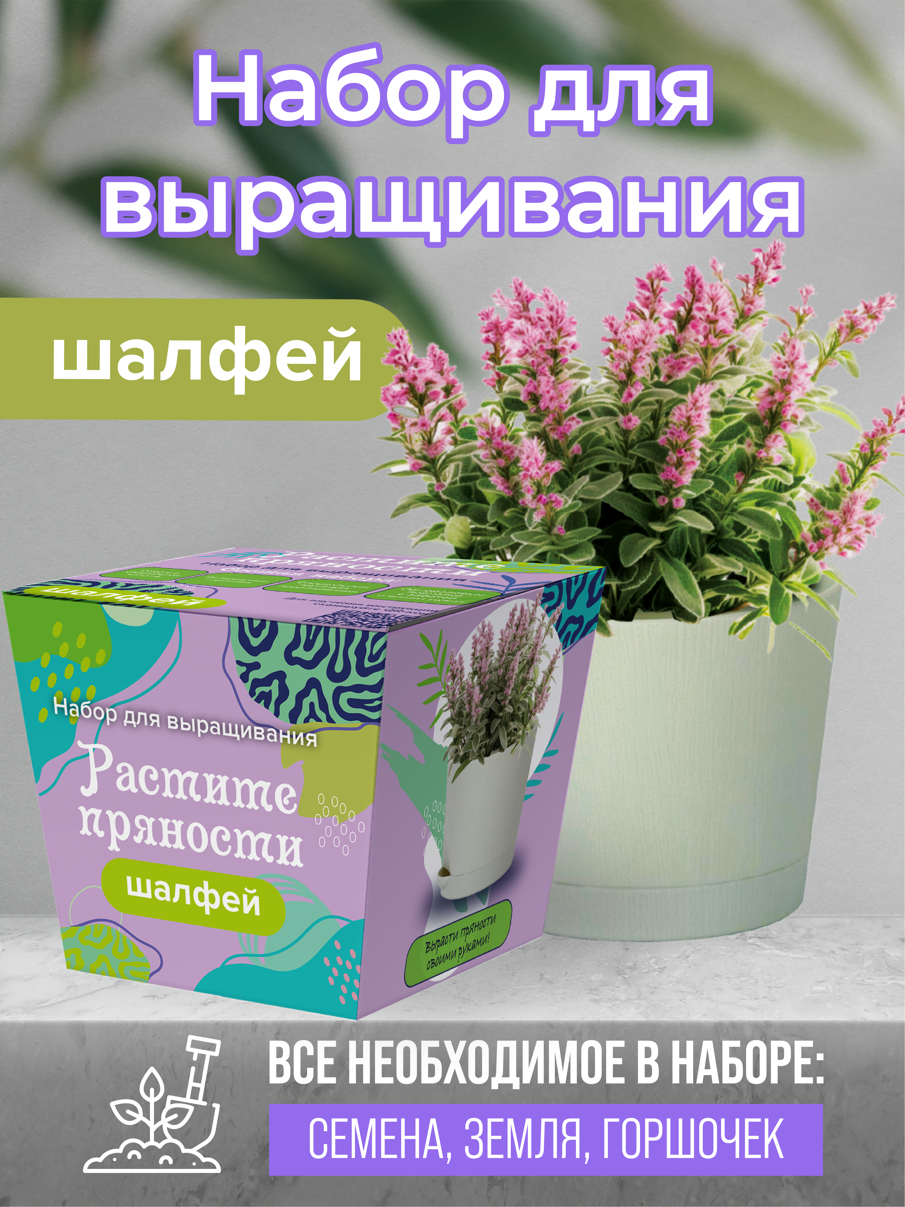 Набор для выращивания ЭкоКлуб  4610178672990 шалфей