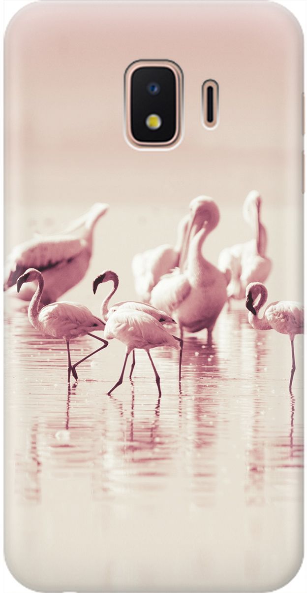 

Чехол на Samsung Galaxy J2 Core с принтом "Розовые фламинго", Белый;розовый, 1986