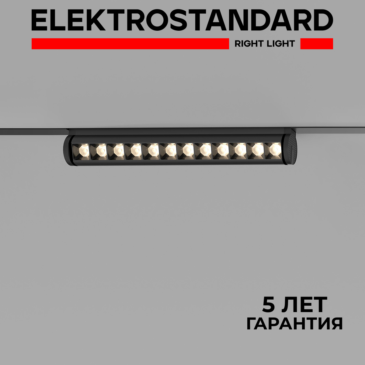 Трековый магнитный светильник Elektrostandard Slim Magnetic Alter 85049/01 12W черный