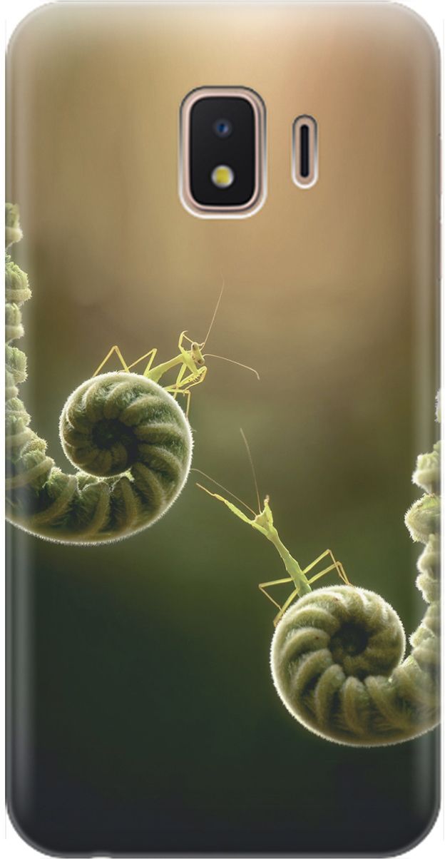 

Чехол на Samsung Galaxy J2 Core с принтом "Пара богомолов", Бежевый;зеленый, 1550