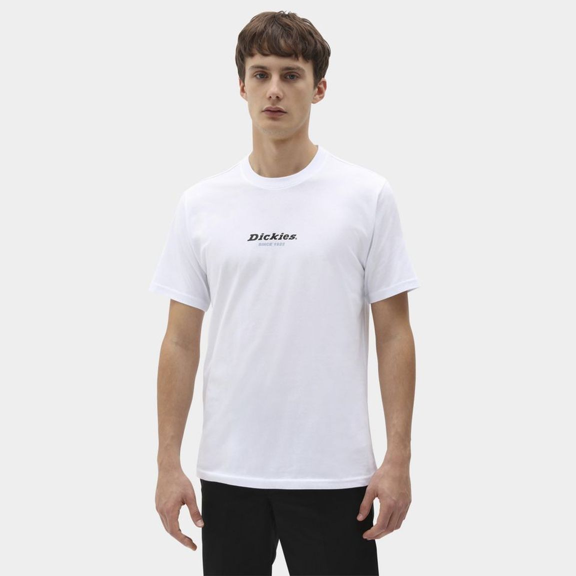 

Футболка мужская Dickies DK0A4XKP белая M, Белый, DK0A4XKP