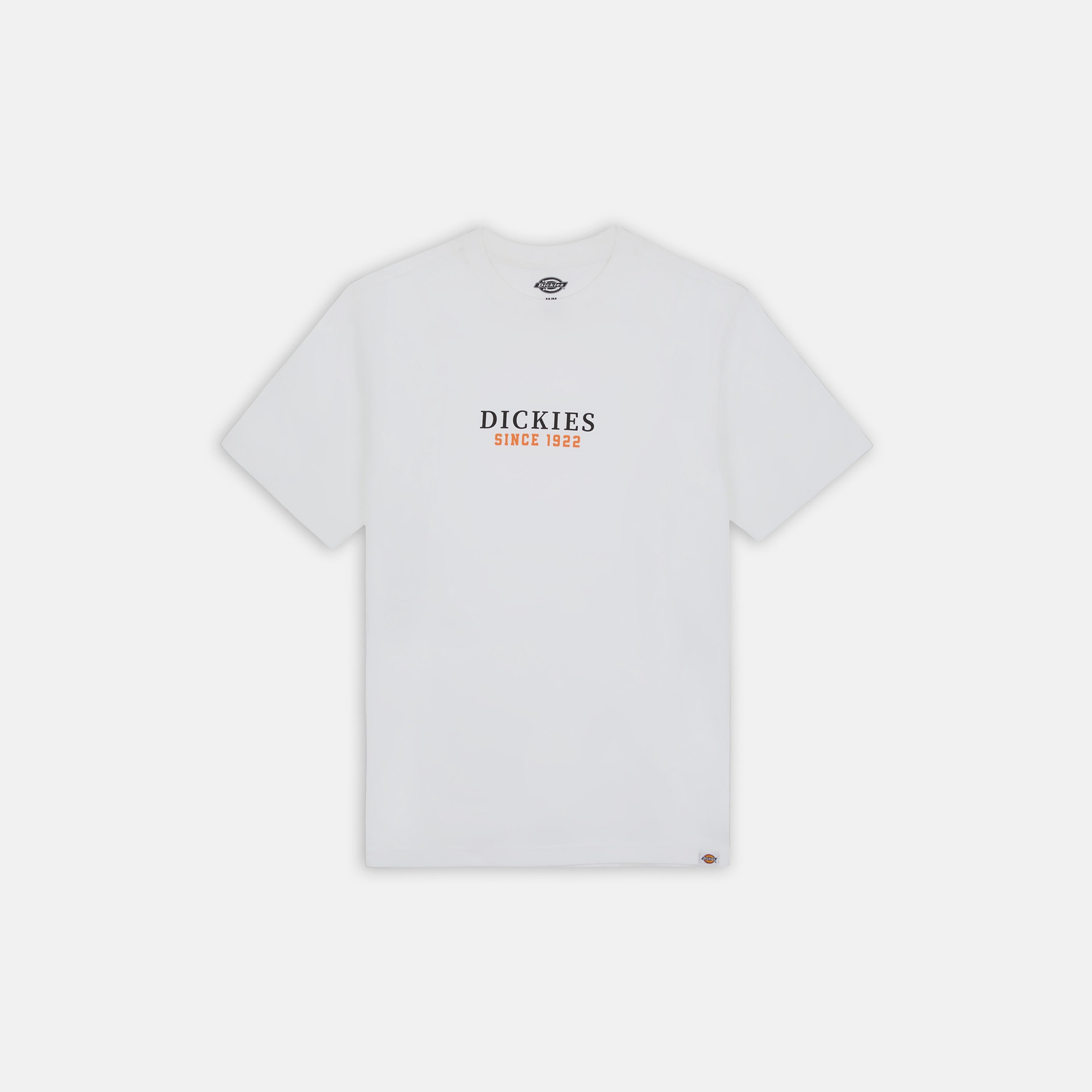

Футболка мужская Dickies DK0A4YFD белая M, Белый, DK0A4YFD