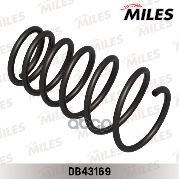 

Пружина Задняя Miles DB43169