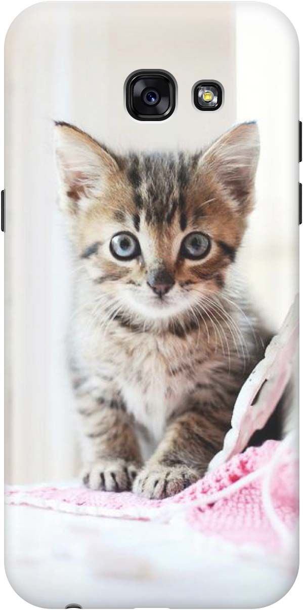 

Силиконовый чехол на Samsung Galaxy A5 (2017) с принтом "Милый котенок", Белый;коричневый, 871