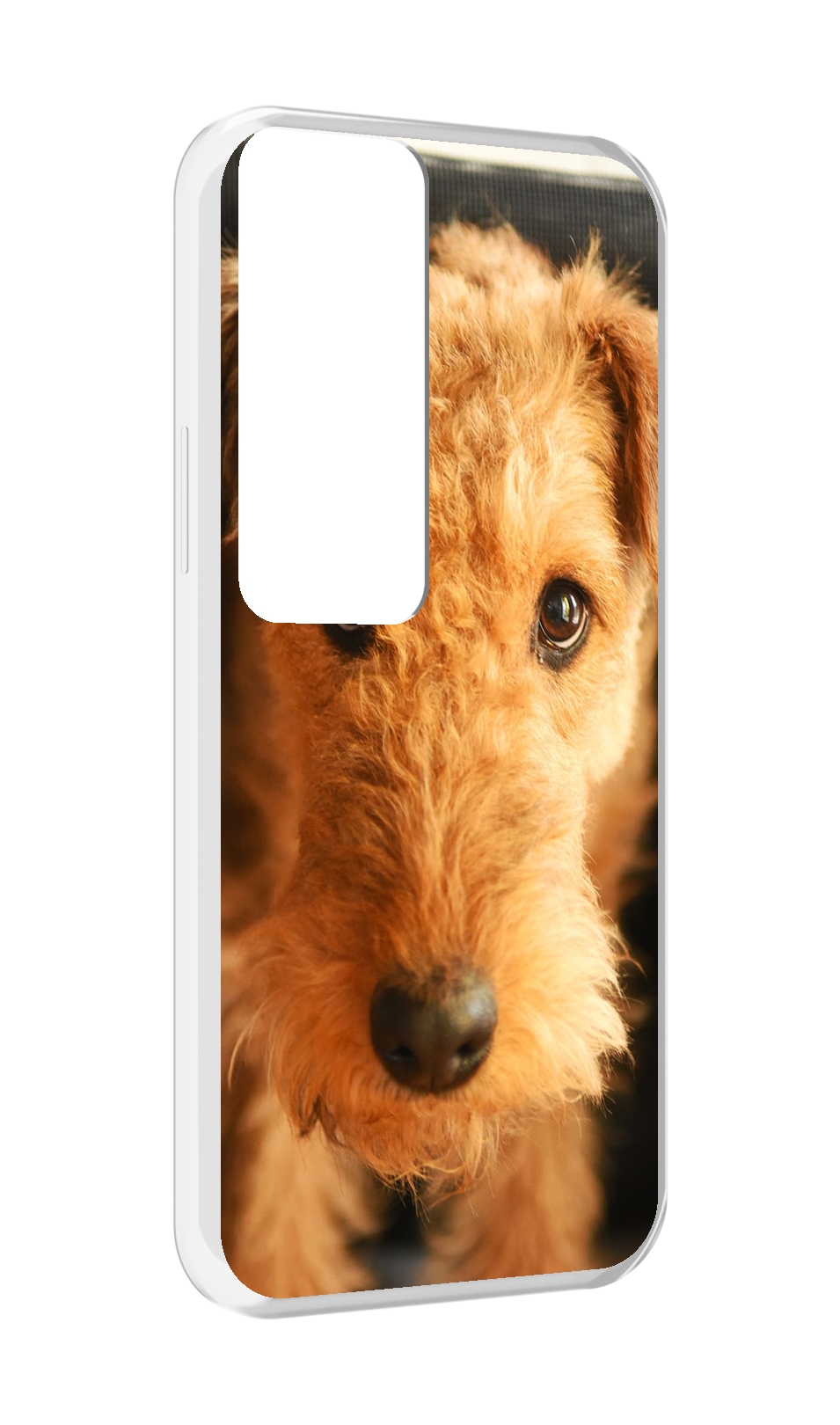 

Чехол MyPads эрдельтерьер для Tecno Pova Neo 2, Прозрачный, Tocco