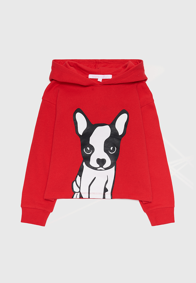 

Худи Modis M212K00183Y037 цв. красный р. 128, M212K00183Y037