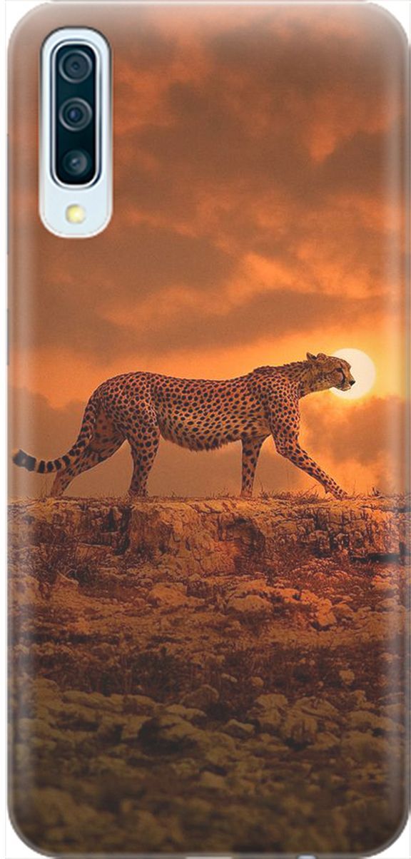 

Чехол на Samsung Galaxy A50/A50s/A30s "Закатный гепард", Коричневый;оранжевый, 1975