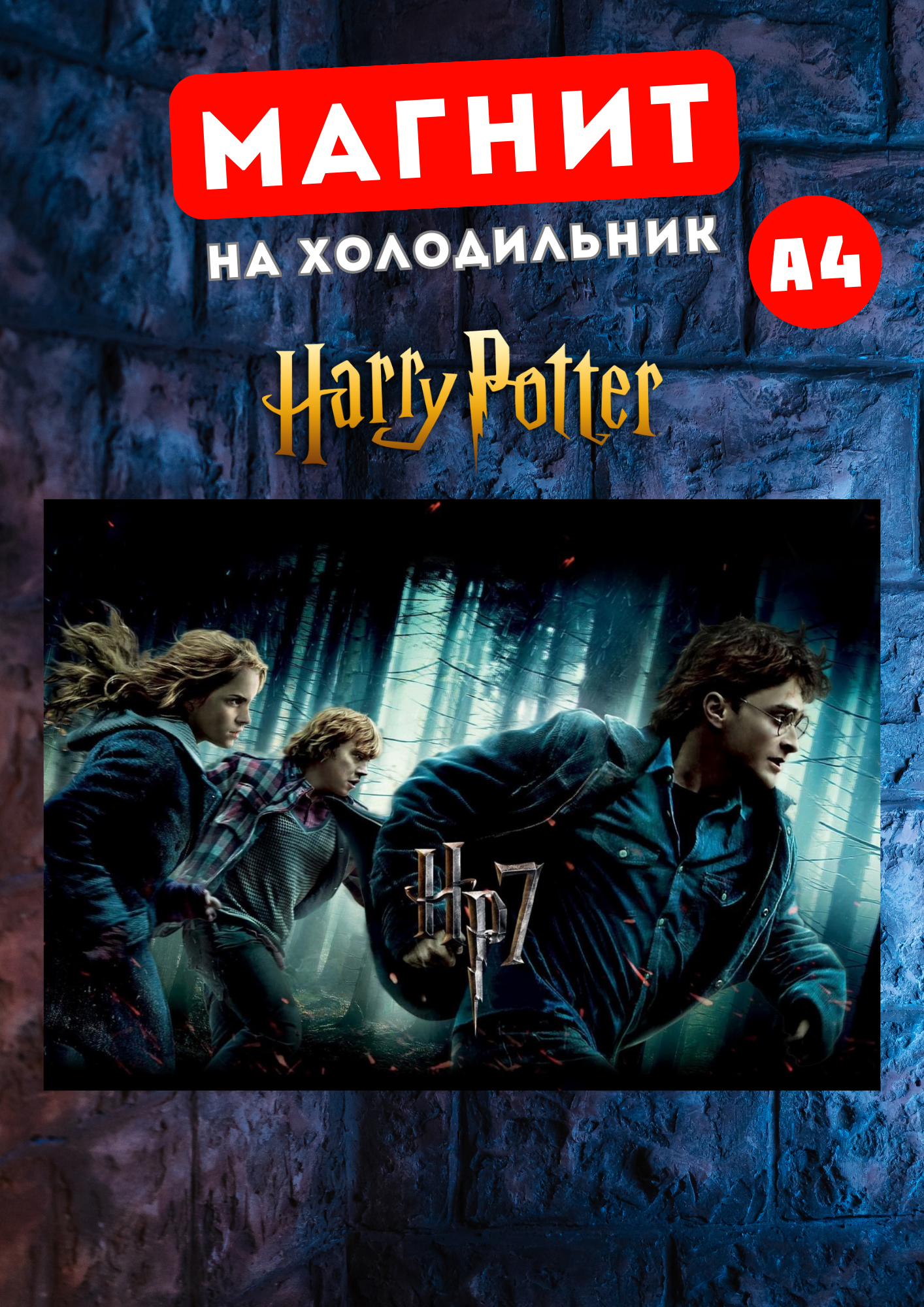 

Магнит на холодильник Магнитная история Гарри Поттер гп1