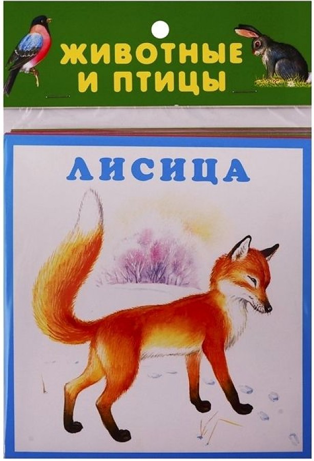 

Животные и птицы. 20 карточек