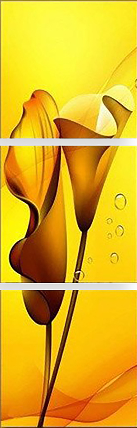 

Картина модульная на холсте Модулка Каллы 170x54 см, 300