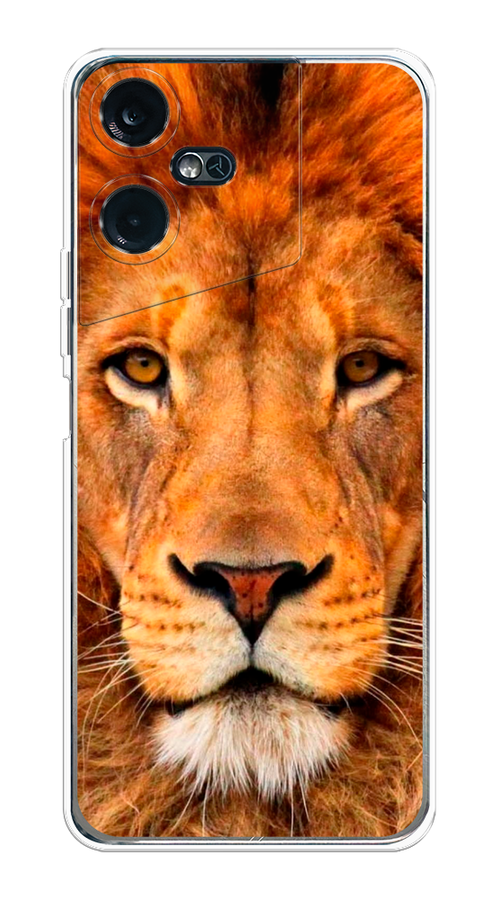

Чехол на Tecno Pova Neo 3 "Благородный лев", Оранжевый, 304450-1