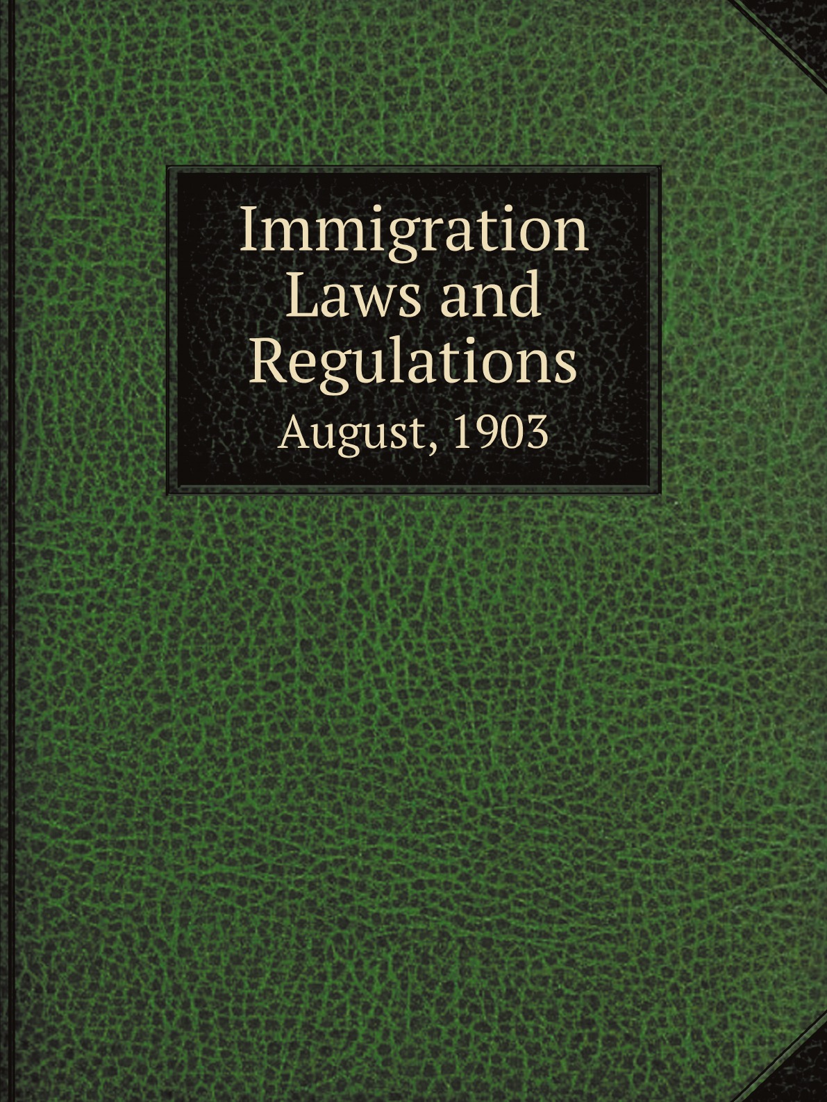 

Immigration Laws and Regulations