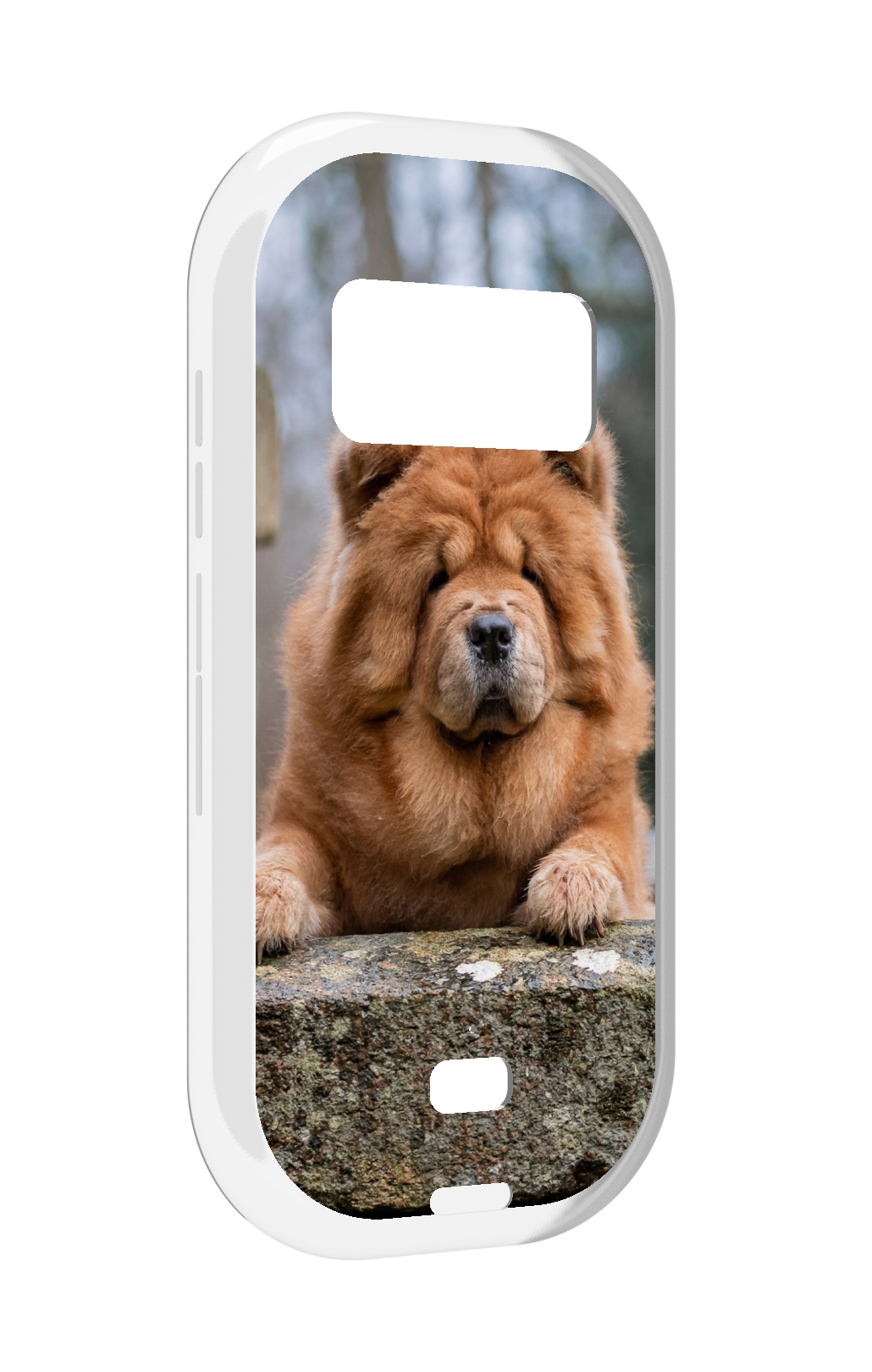 

Чехол MyPads чау чау для UleFone Armor 15, Прозрачный, Tocco