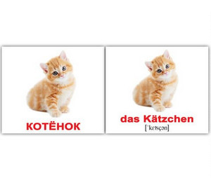 фото Набор карточек вундеркинд. немецкий язык. домашние животные 20 штук вундеркинд с пеленок