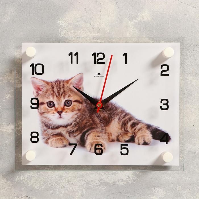 

Часы настенные, серия: Животный мир, "Котята с клубком", 20х26 см, микс
