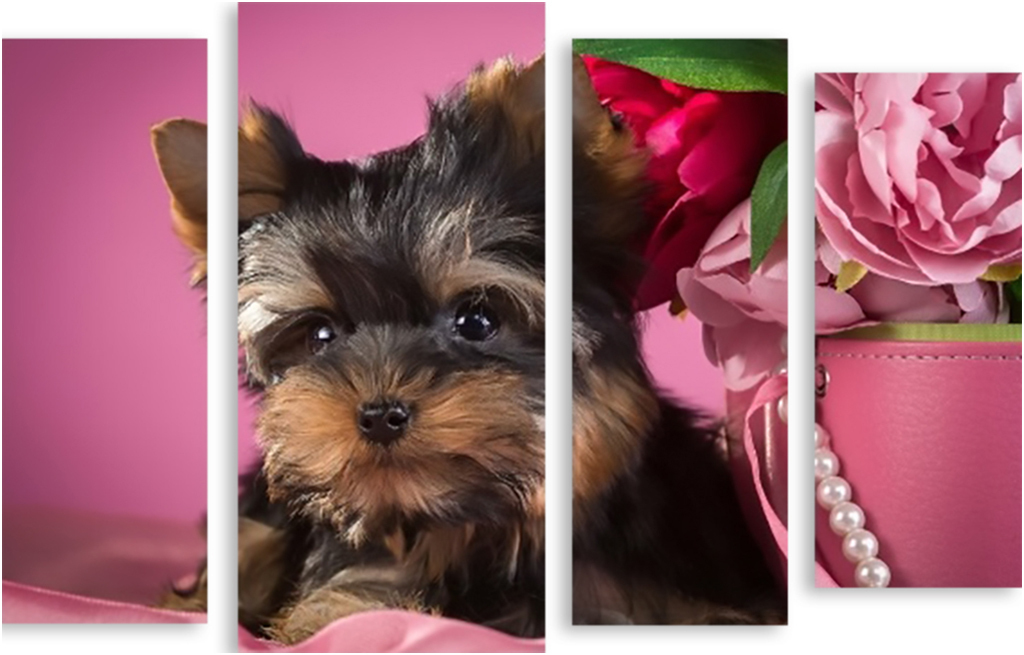 

Картина модульная на холсте Модулка Йорк 120x84 см, 3170