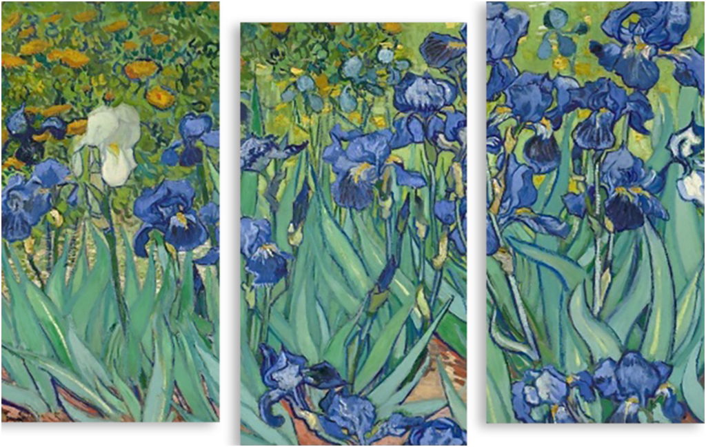 

Картина модульная на холсте Модулка Нарисованные ирисы 90x60 см, 3178