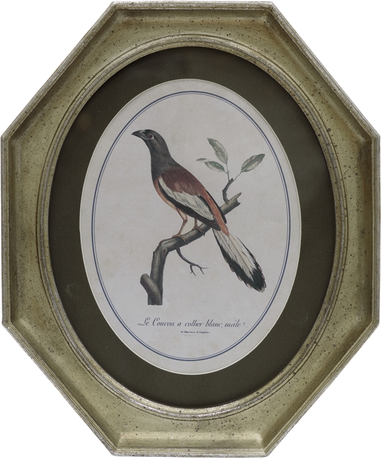 

Картина в раме 25x3x30см Glasar 28-372