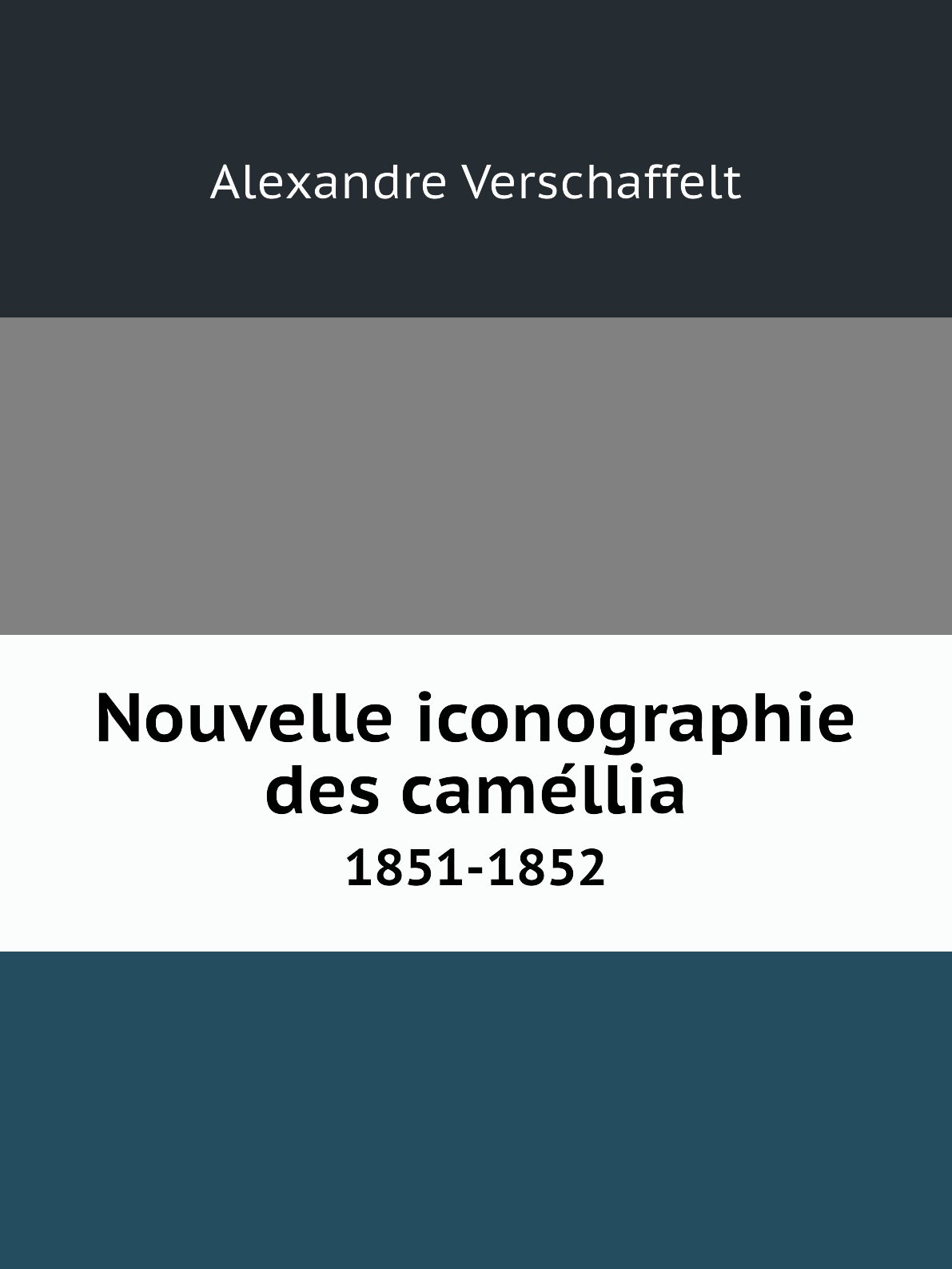 

Nouvelle iconographie des camellia