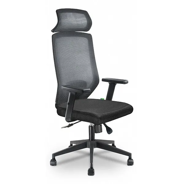 

Кресло компьютерное Riva Chair A755, черный
