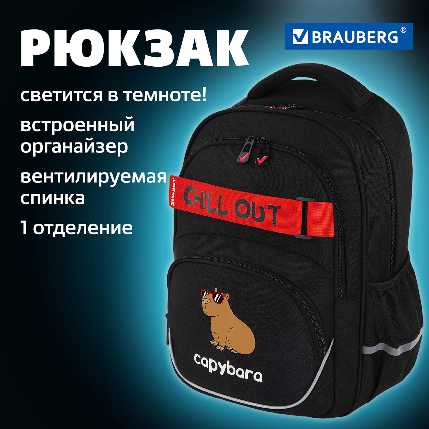 

Рюкзак школьный Brauberg Mothion Calm capy 272032 для мальчика в школу для подростков, Разноцветный, Mothion