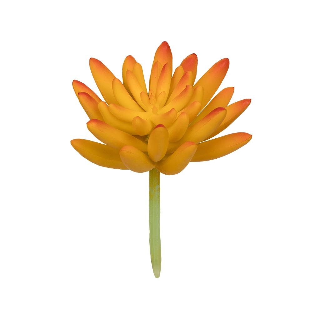

Blumentag поливинилхлорид 1 шт, 01