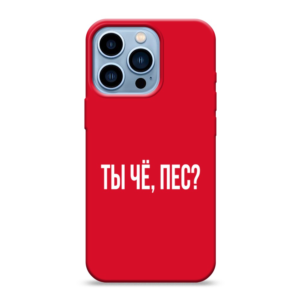 

Чехол Awog на Apple iPhone 13 Pro / Айфон 13 Pro "Ты чё, пес", Разноцветный, 14353-1