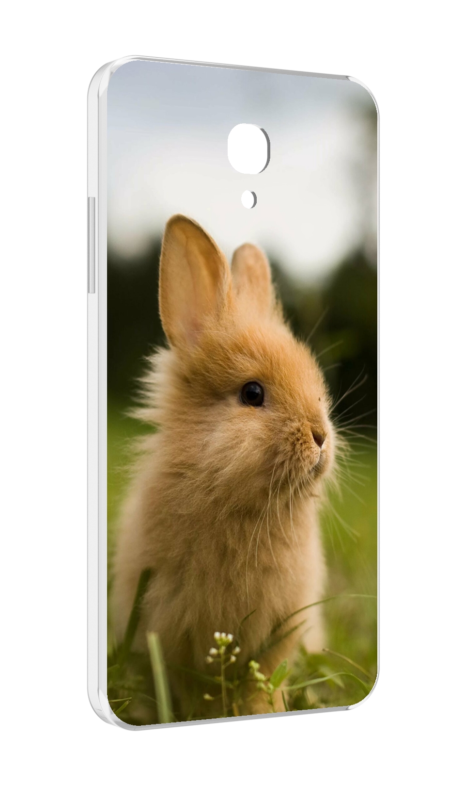

Чехол MyPads Кролик для Lenovo Vibe P2 5.5 (P2a42), Прозрачный, Tocco