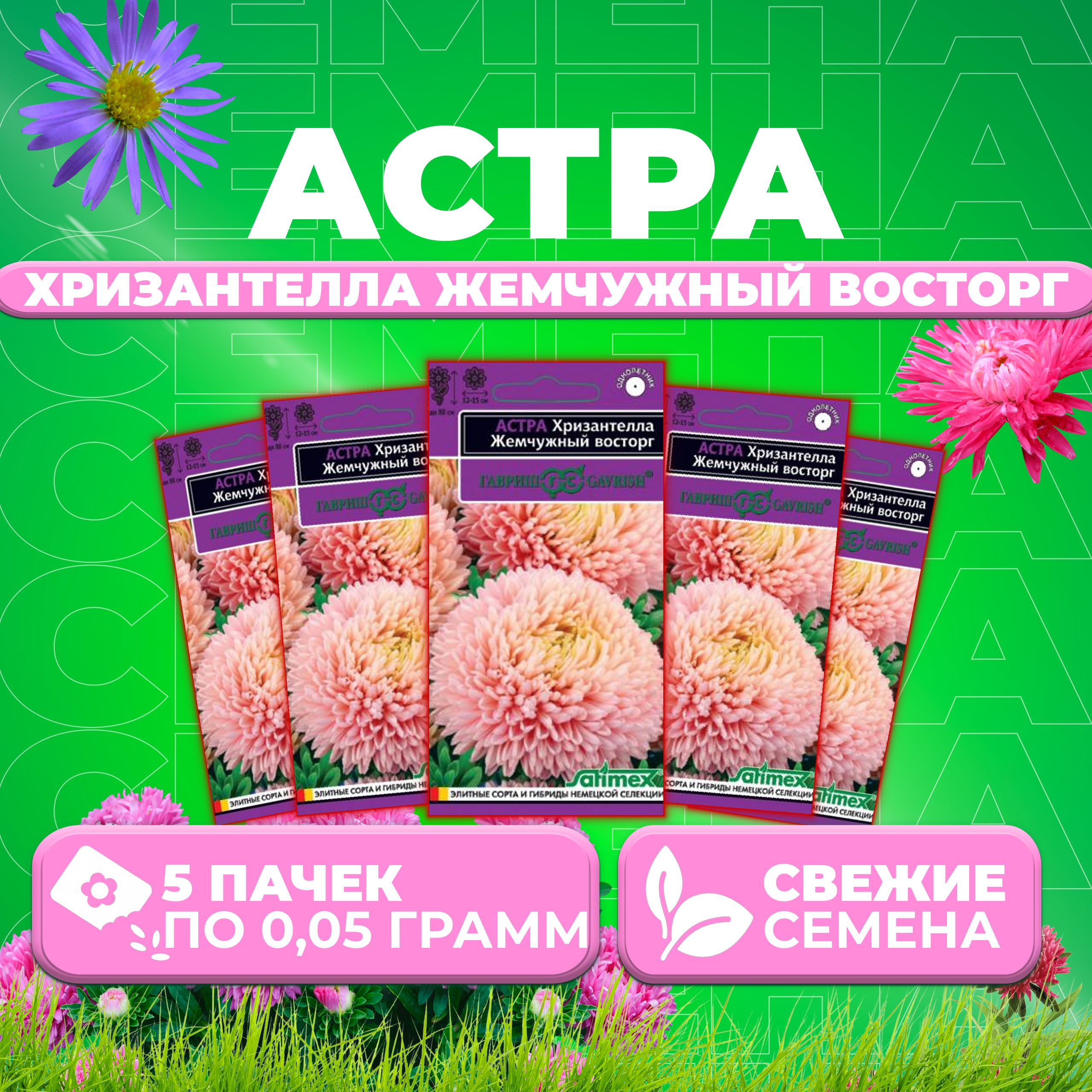 

Семена Астра Хризантелла Жемчужный восторг, 0,05г, Гавриш, Satimex (5 уп)