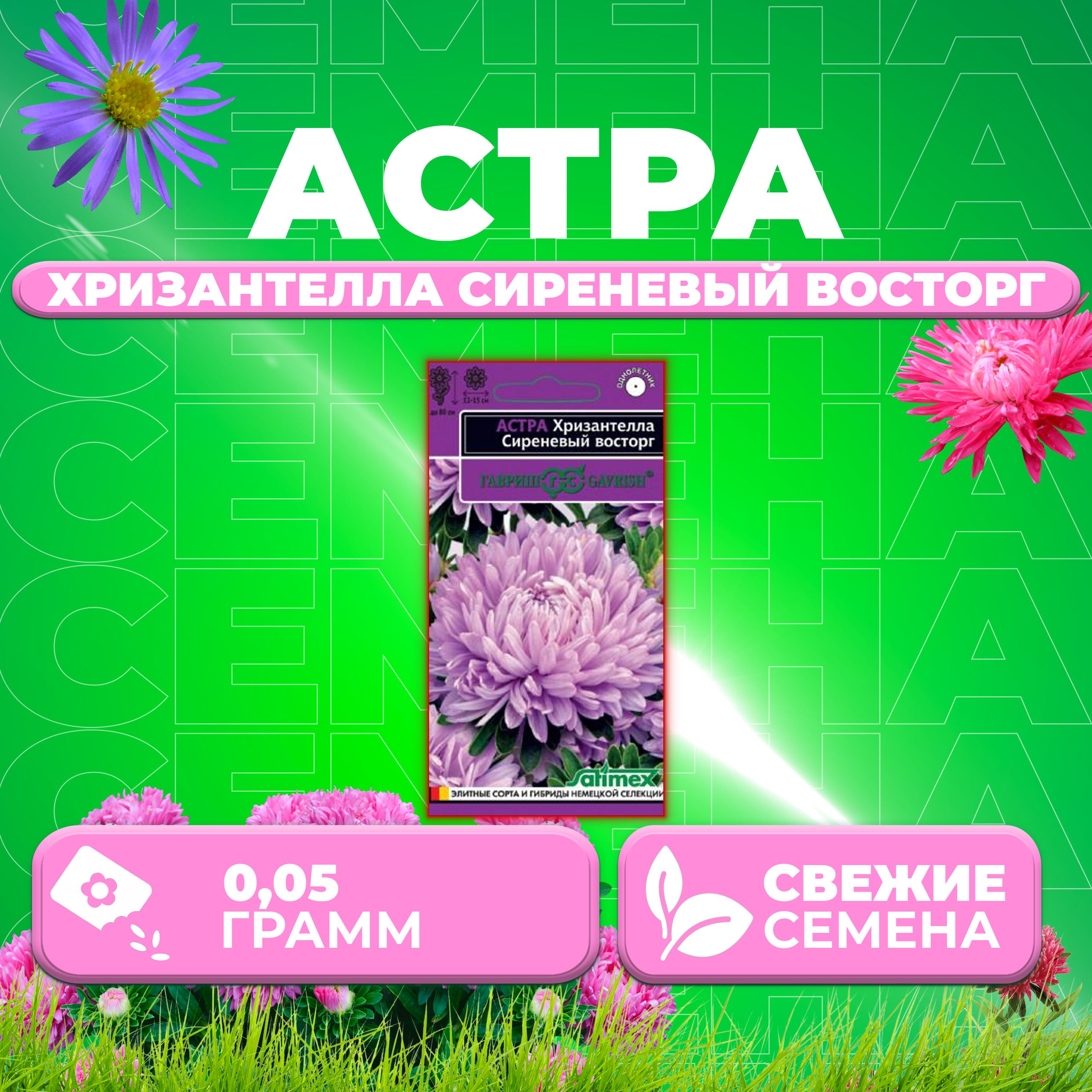 

Семена Астра Хризантелла Сиреневый восторг, 0,05г, Гавриш, Satimex (1 уп)