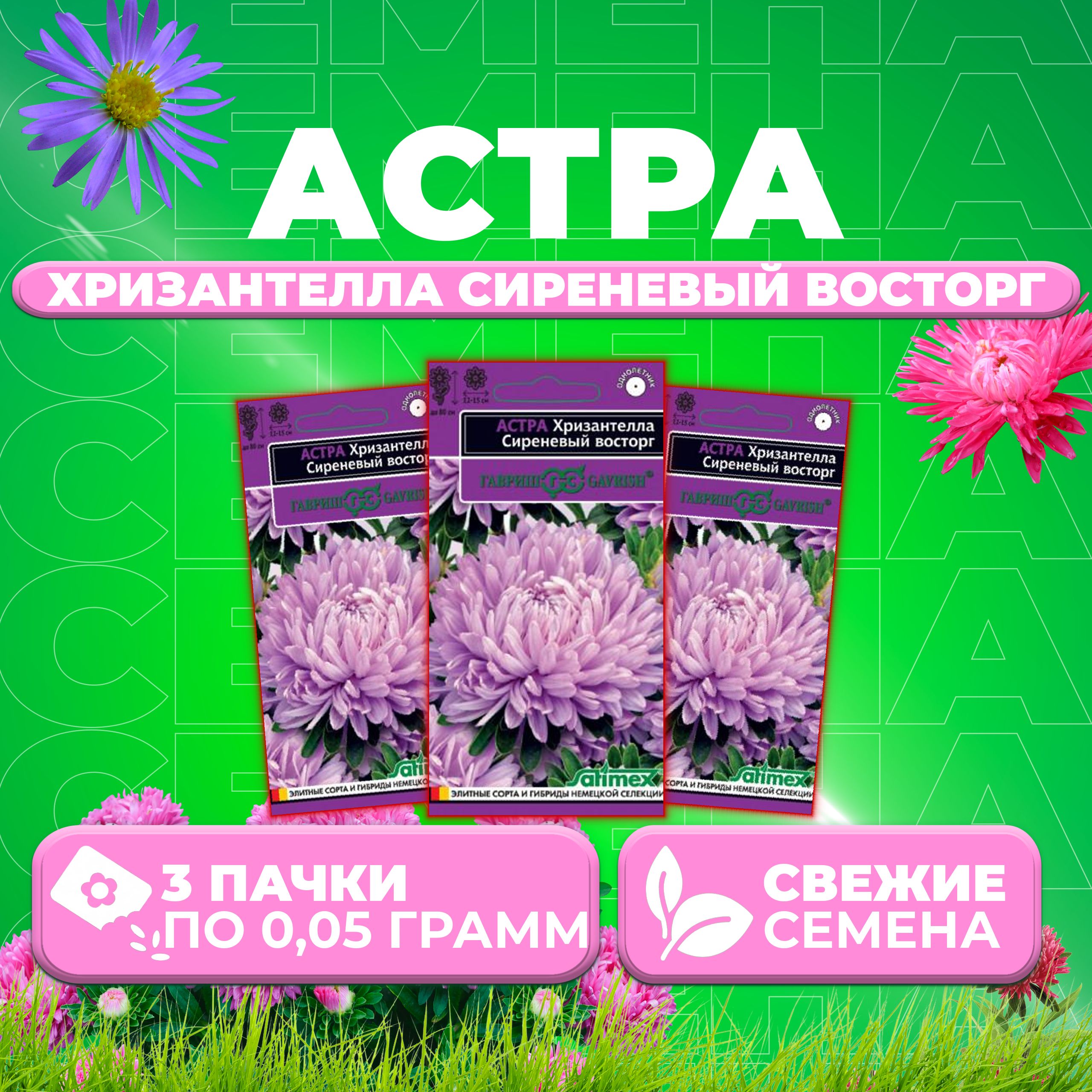 

Семена Астра Хризантелла Сиреневый восторг, 0,05г, Гавриш, Satimex (3 уп)