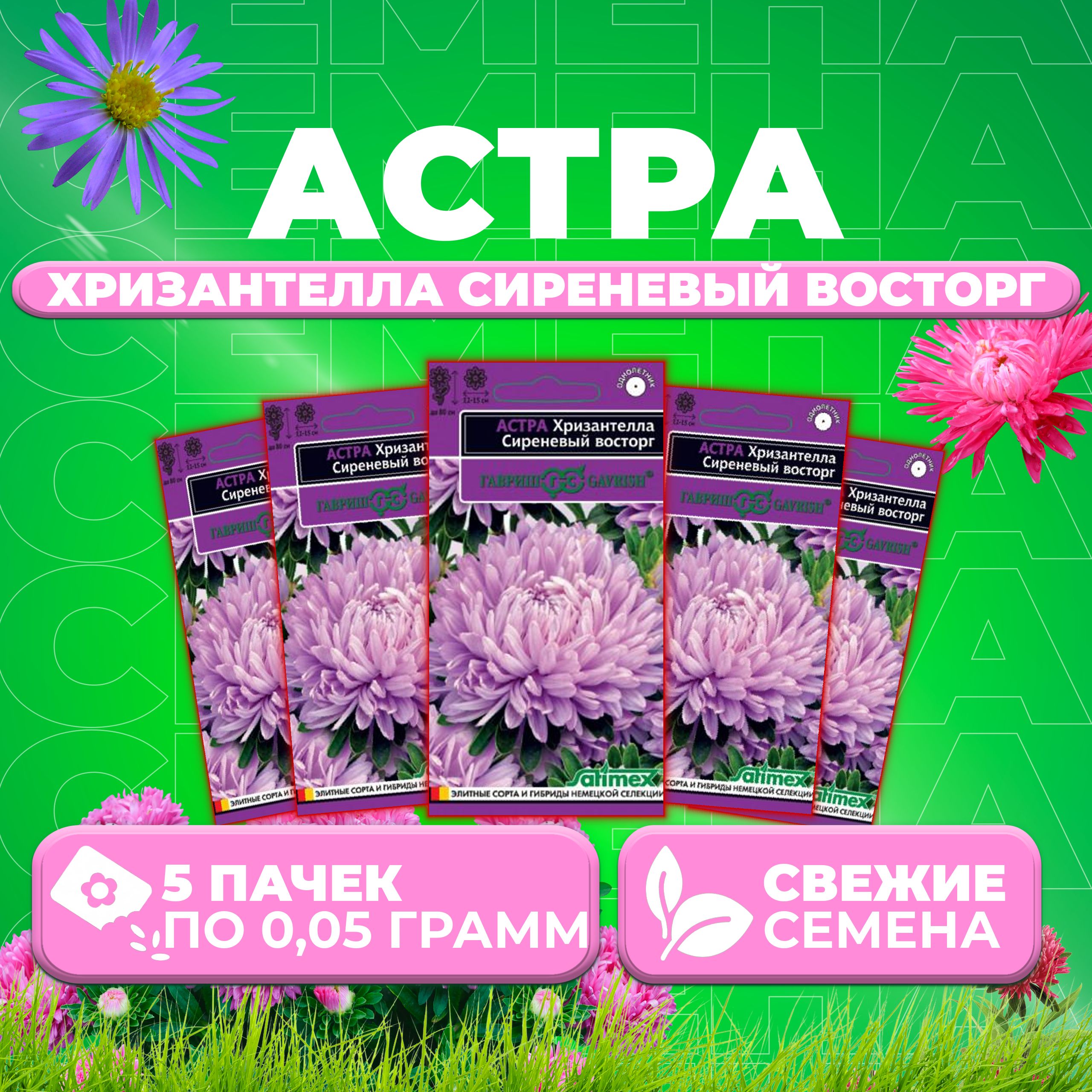 

Семена Астра Хризантелла Сиреневый восторг, 0,05г, Гавриш, Satimex (5 уп)