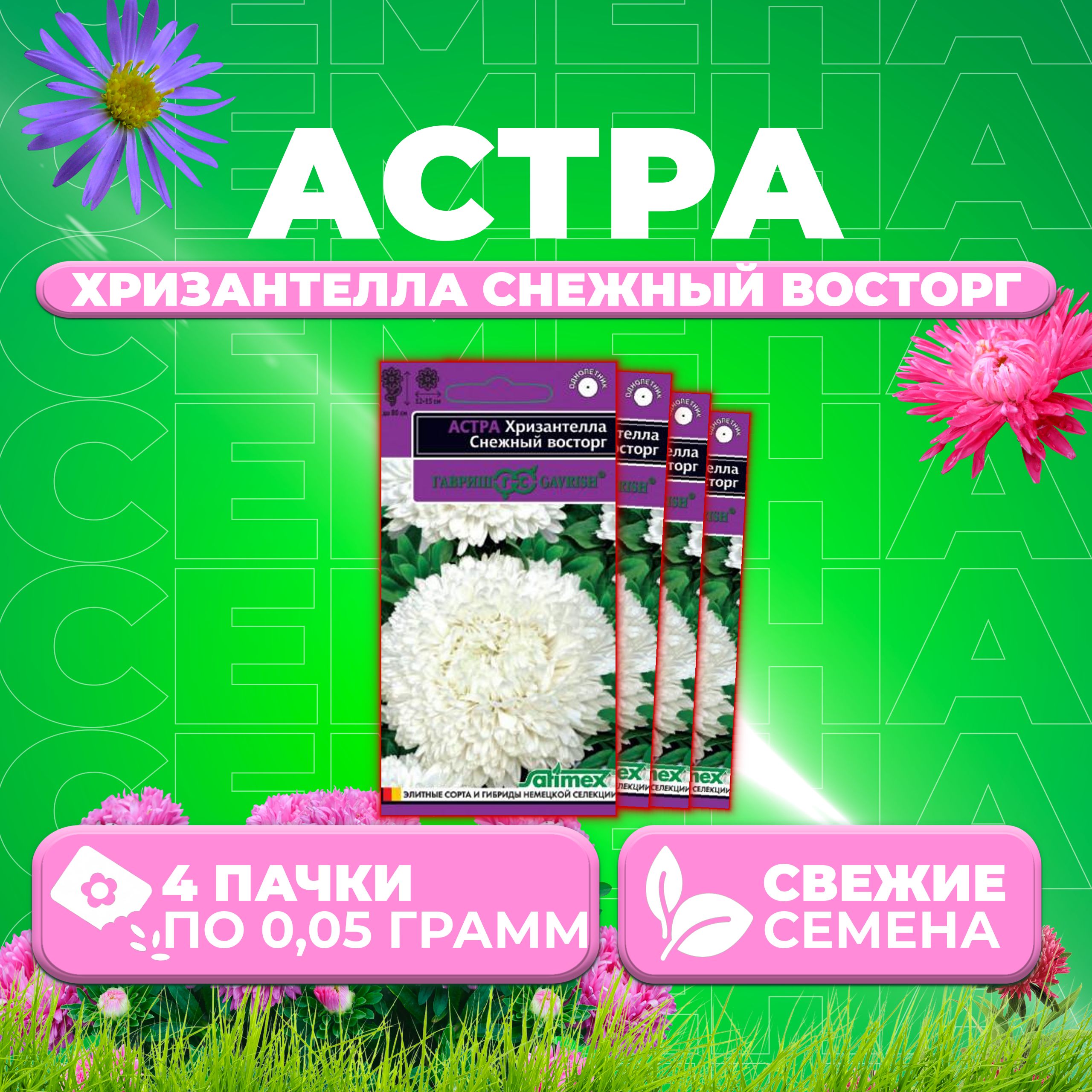 

Семена Астра Хризантелла Снежный восторг, 0,05г, Гавриш, Satimex (4 уп)
